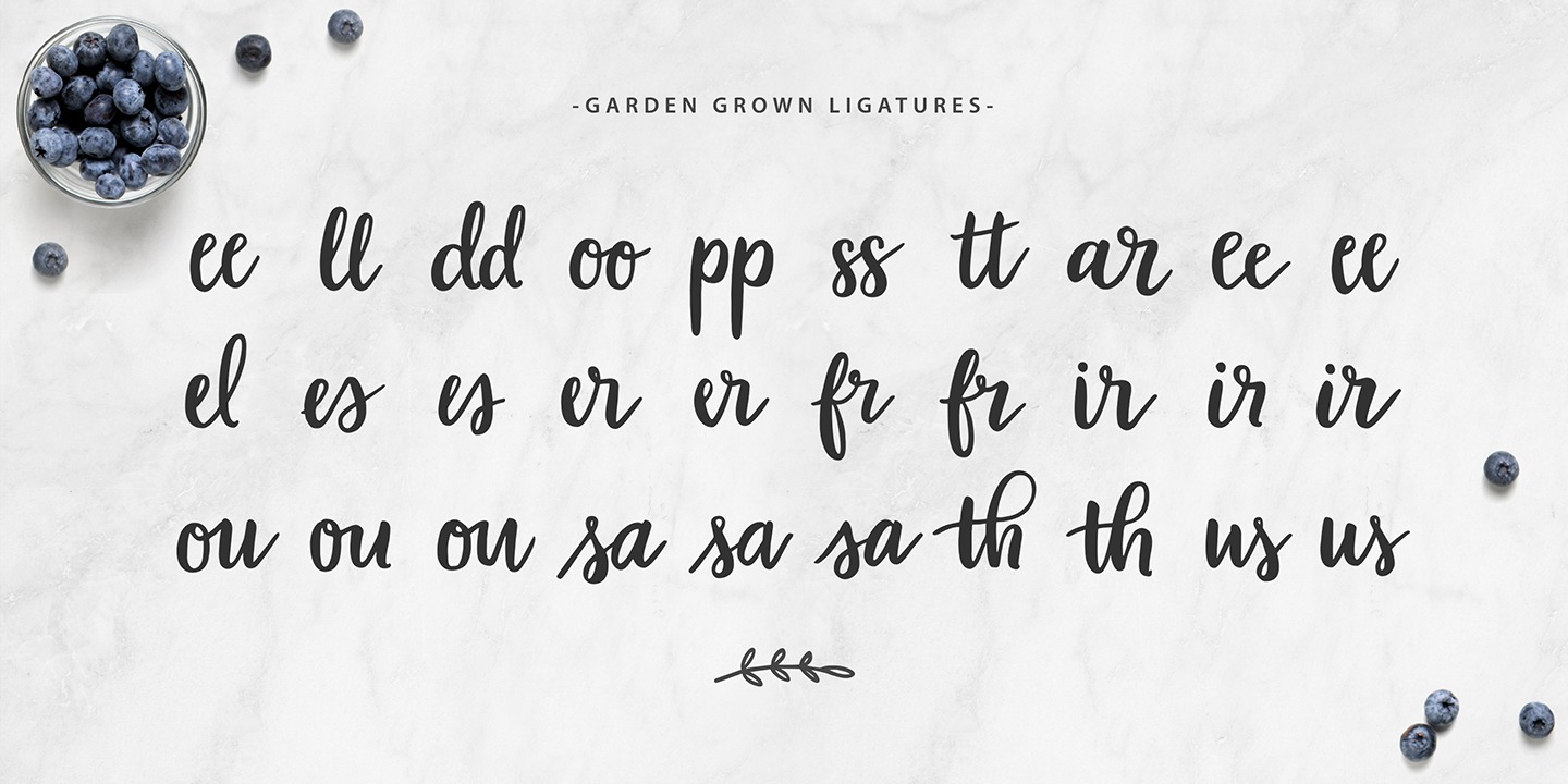 Garden Collection Pro C Font preview